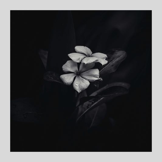 love story - Sheet Music